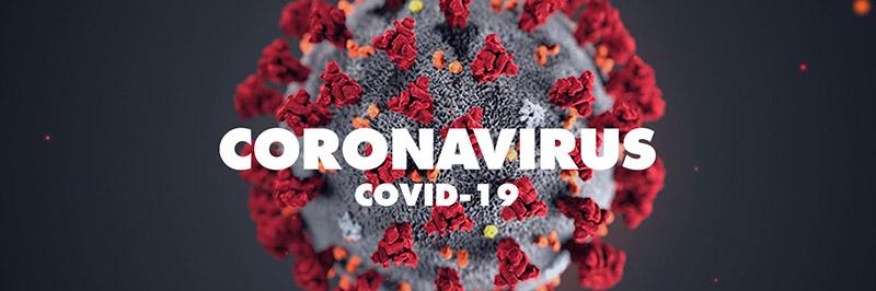 Tutto sul coronavirus